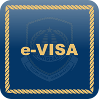 e-visa